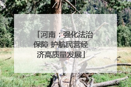 河南：强化法治保障 护航民营经济高质量发展