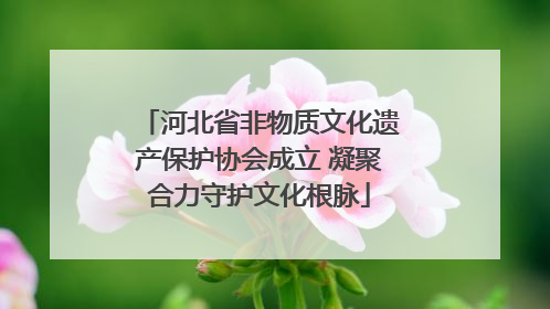 河北省非物质文化遗产保护协会成立 凝聚合力守护文化根脉