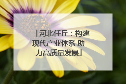 河北任丘：构建现代产业体系 助力高质量发展