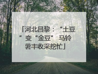河北昌黎：“土豆”变“金豆” 马铃薯丰收采挖忙