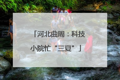 河北曲周：科技小院忙“三夏”