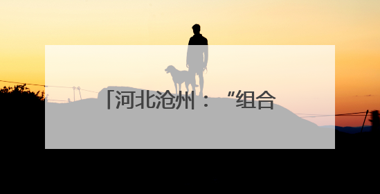 河北沧州：“组合拳”精准发力 助力企业创新突破
