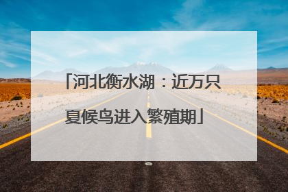 河北衡水湖：近万只夏候鸟进入繁殖期