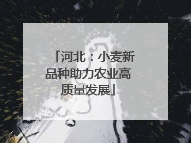 河北：小麦新品种助力农业高质量发展