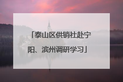 泰山区供销社赴宁阳、滨州调研学习
