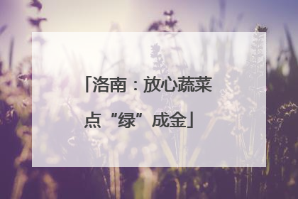 洛南：放心蔬菜点“绿”成金