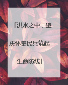 洪水之中，肇庆怀集民兵筑起生命防线