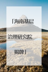 海南基层治理研究院揭牌
