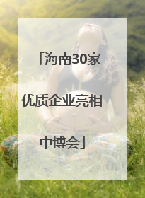 海南30家优质企业亮相中博会
