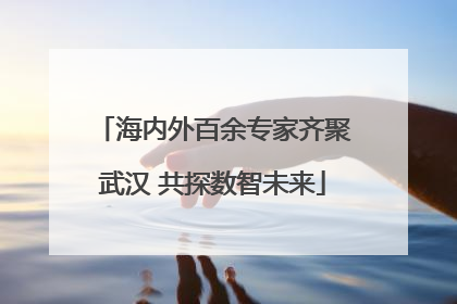 海内外百余专家齐聚武汉 共探数智未来