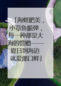 海蛏肥美，小章鱼脆弹，每一种都是大海的馈赠——夏日到海边 就爱那口鲜