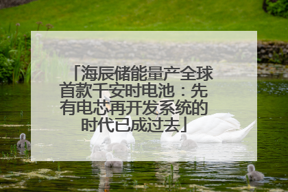 海辰储能量产全球首款千安时电池：先有电芯再开发系统的时代已成过去