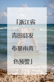 浙江省青田县发布暴雨黄色预警