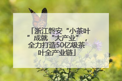 浙江磐安“小茶叶”成就“大产业”，全力打造50亿级茶叶全产业链
