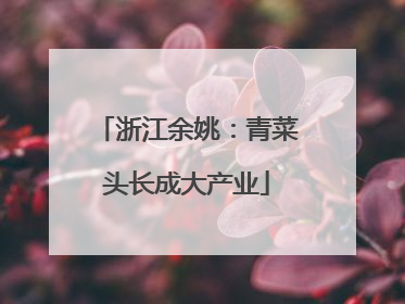 浙江余姚：青菜头长成大产业