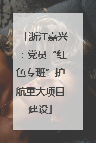浙江嘉兴：党员“红色专班”护航重大项目建设