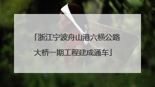 浙江宁波舟山港六横公路大桥一期工程建成通车