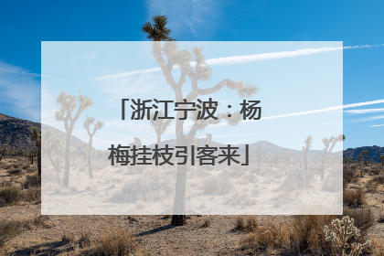 浙江宁波：杨梅挂枝引客来