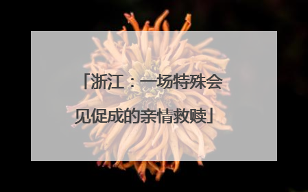 浙江：一场特殊会见促成的亲情救赎