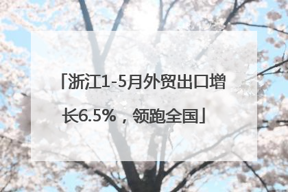 浙江1-5月外贸出口增长6.5%，领跑全国