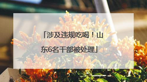 涉及违规吃喝！山东6名干部被处理