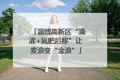 淄博高新区“滴灌+氮肥后移”让麦浪变“金浪”