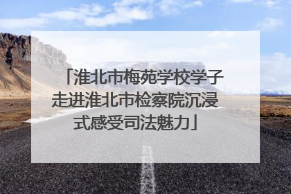 淮北市梅苑学校学子走进淮北市检察院沉浸式感受司法魅力