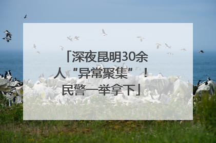 深夜昆明30余人“异常聚集”！民警一举拿下