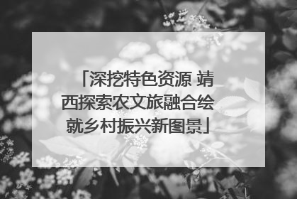 深挖特色资源 靖西探索农文旅融合绘就乡村振兴新图景