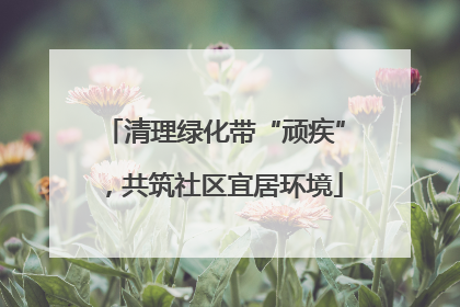 清理绿化带“顽疾”，共筑社区宜居环境