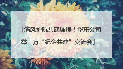 清风护航共建廉程！华东公司举三方“纪企共建”交流会