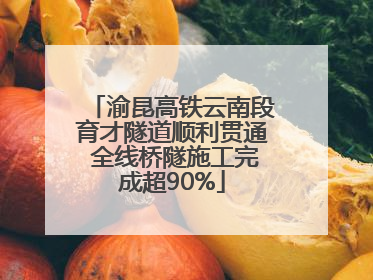 渝昆高铁云南段育才隧道顺利贯通 全线桥隧施工完成超90%