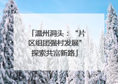 温州洞头：“片区组团强村发展”探索共富新路