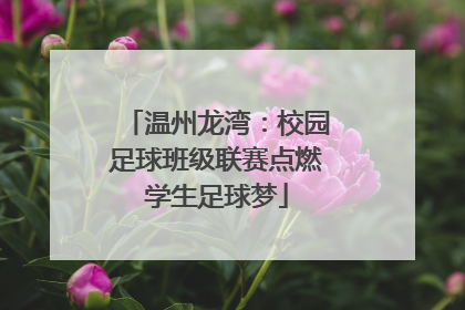 温州龙湾：校园足球班级联赛点燃学生足球梦
