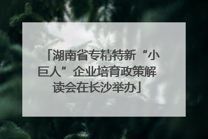 湖南省专精特新“小巨人”企业培育政策解读会在长沙举办