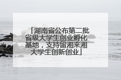 湖南省公布第二批省级大学生创业孵化基地，支持留湘来湘大学生创新创业