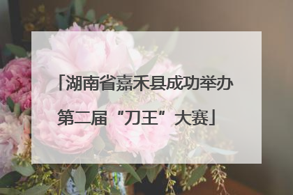湖南省嘉禾县成功举办第二届“刀王”大赛