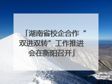 湖南省校企合作“双进双转”工作推进会在衡阳召开