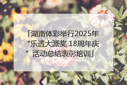 湖南体彩举行2025年“乐透大派奖 18周年庆”活动总结表彰培训