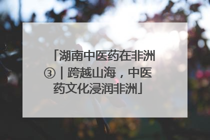 湖南中医药在非洲③｜跨越山海，中医药文化浸润非洲
