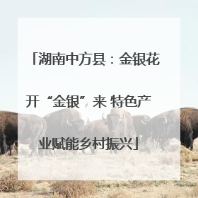 湖南中方县：金银花开“金银”来 特色产业赋能乡村振兴