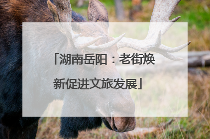 湖南岳阳：老街焕新促进文旅发展