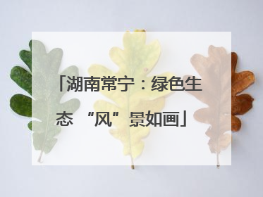 湖南常宁：绿色生态 “风”景如画