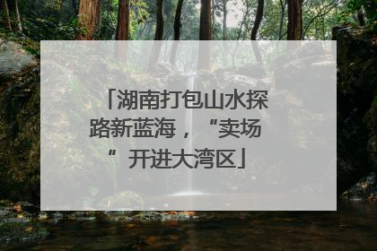 湖南打包山水探路新蓝海，“卖场”开进大湾区