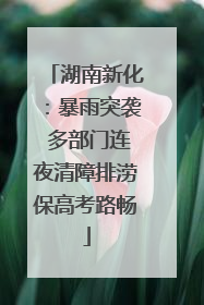 湖南新化：暴雨突袭 多部门连夜清障排涝保高考路畅