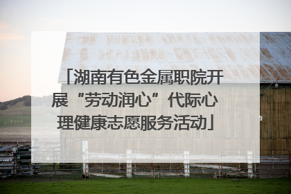 湖南有色金属职院开展“劳动润心”代际心理健康志愿服务活动