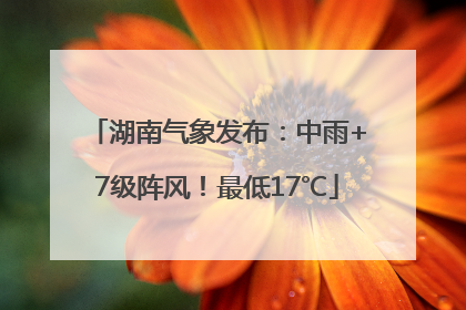 湖南气象发布：中雨+7级阵风！最低17℃