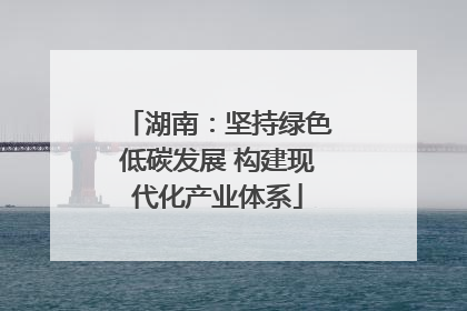 湖南：坚持绿色低碳发展 构建现代化产业体系