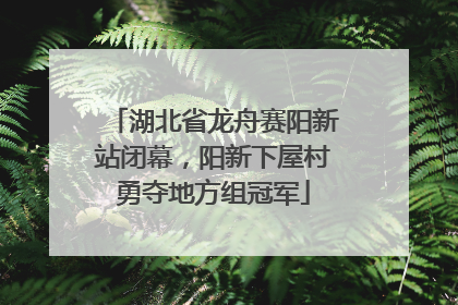 湖北省龙舟赛阳新站闭幕，阳新下屋村勇夺地方组冠军