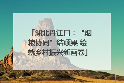 湖北丹江口：“烟粮协同”结硕果 绘就乡村振兴新画卷